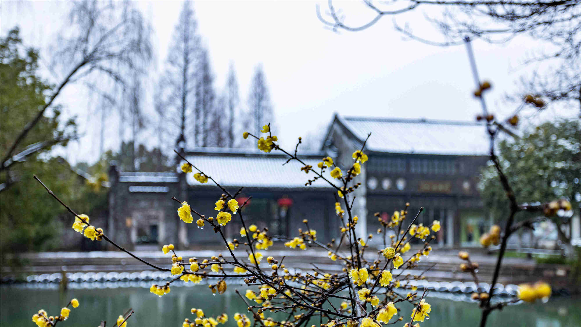 2022烏鎮(zhèn)雪 (13)_副本_副本.jpg